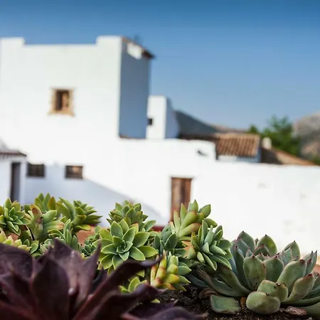 Hotell Algaba De Ronda